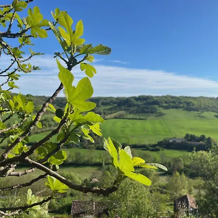 Maison Aurifat Cordes Sur Ciel
