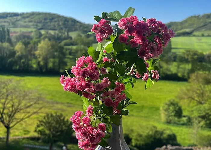 ベッド・アンド・ブレックファスト Maison Aurifat コルド・シュル・シエル