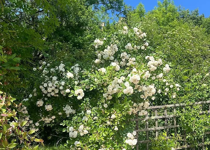 Maison Aurifat ベッド・アンド・ブレックファスト