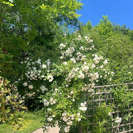 Maison Aurifat ベッド・アンド・ブレックファスト